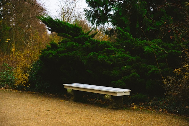 Park Bank Meditation